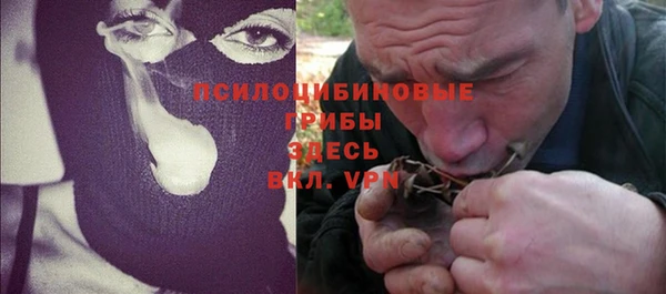 мдпв Абаза