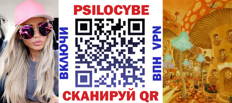 Псилоцибиновые грибы Cubensis  мега   Кизилюрт  как найти закладки 